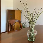 게스트하우스 Casa Pedravedra *