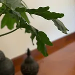 Casa Pedravedra
