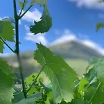 Casa Pedravedra 게스트하우스 몬딤데바스토