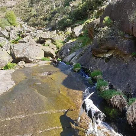 Πανσιόν Casa Pedravedra Mondim de Basto