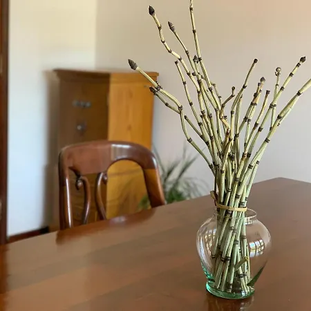 Guest house Casa Pedravedra *