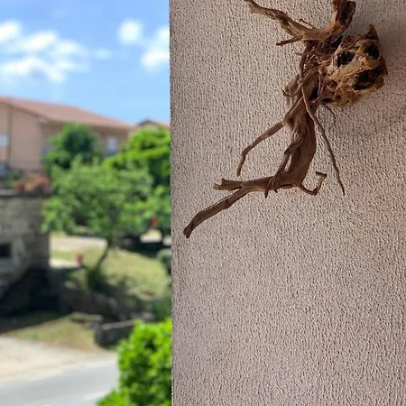 招待所 Casa Pedravedra *