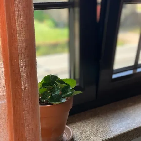 招待所 Casa Pedravedra *