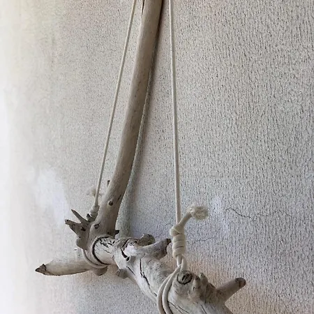 招待所 Casa Pedravedra