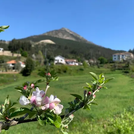 Casa Pedravedra