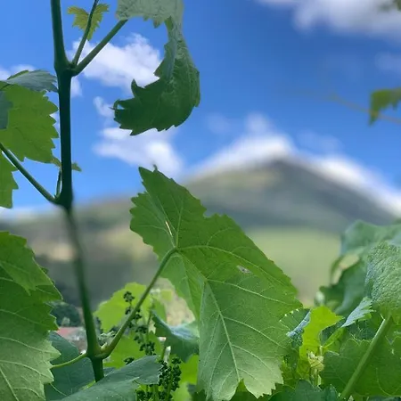 Casa Pedravedra 招待所 蒙丁-迪巴什图