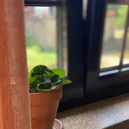 Casa Pedravedra * Mondim de Basto