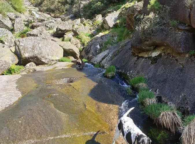 Guest house Casa Pedravedra Mondim de Basto