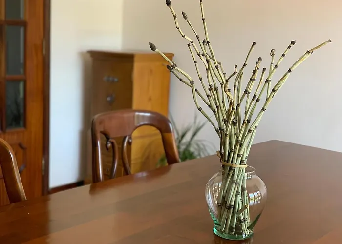 Guest house Casa Pedravedra *