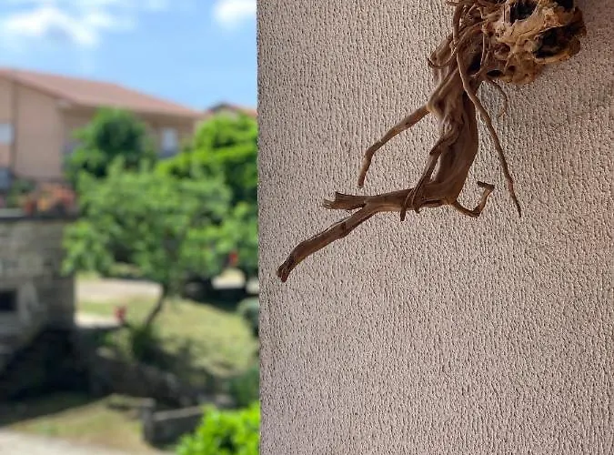 Guest house Casa Pedravedra *