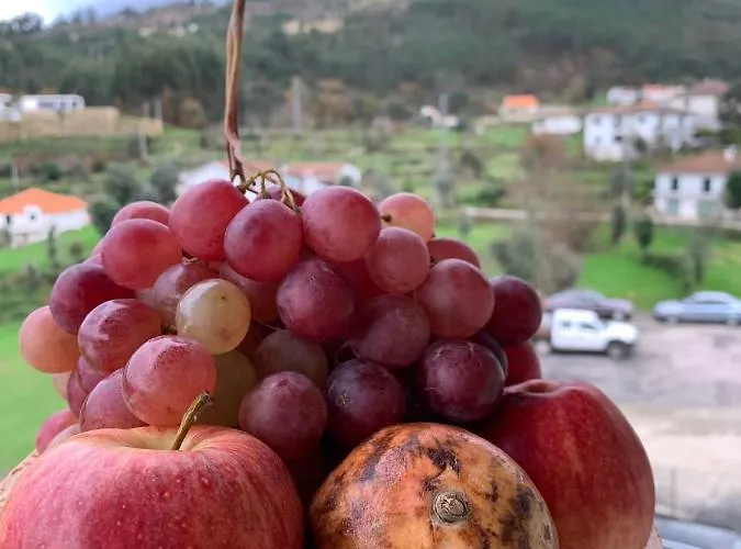 Casa Pedravedra 몬딤데바스토