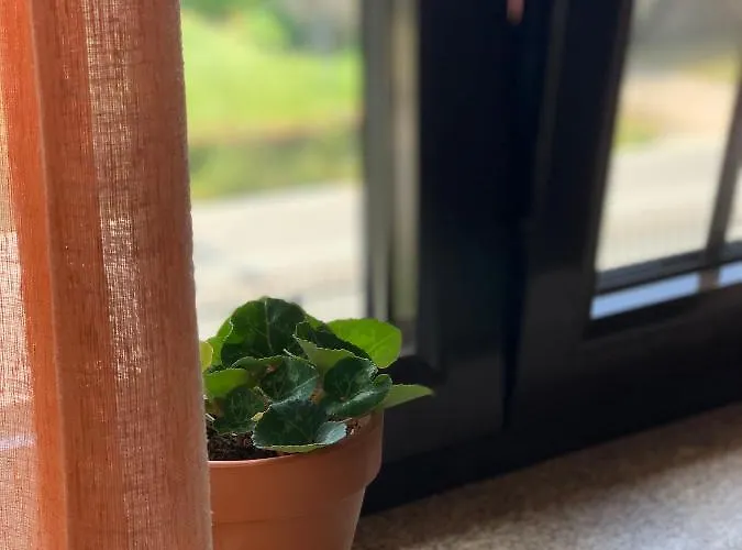 Guest house Casa Pedravedra *