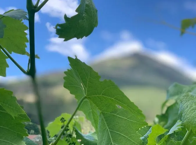 Casa Pedravedra Guest house Mondim de Basto