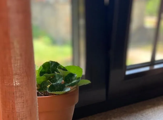 Casa Pedravedra * Mondim de Basto